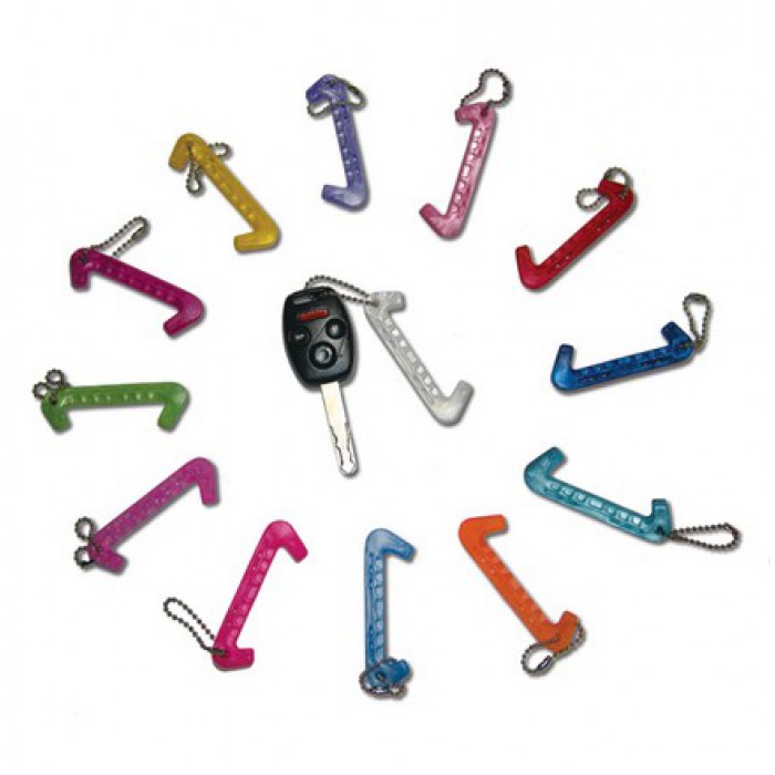  A&R        Key Chain MiniGard